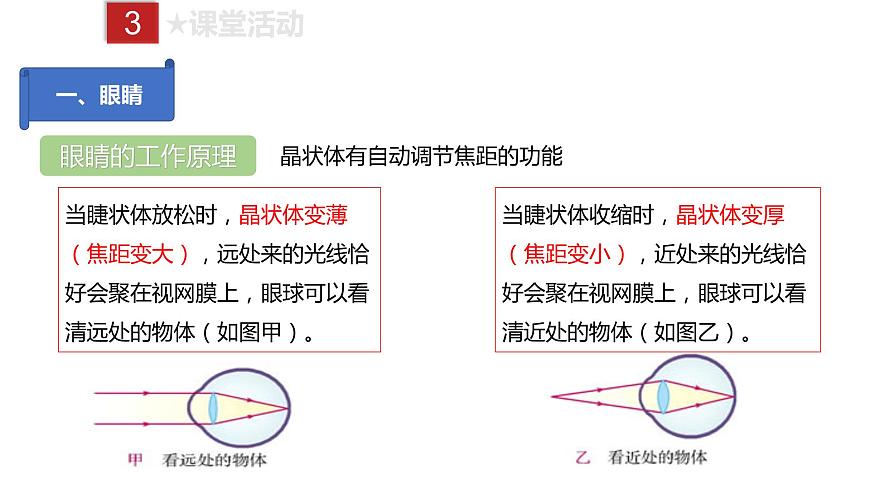 人教版八年級上冊物理--課時5.4 眼睛和眼鏡課件PPT第6頁
