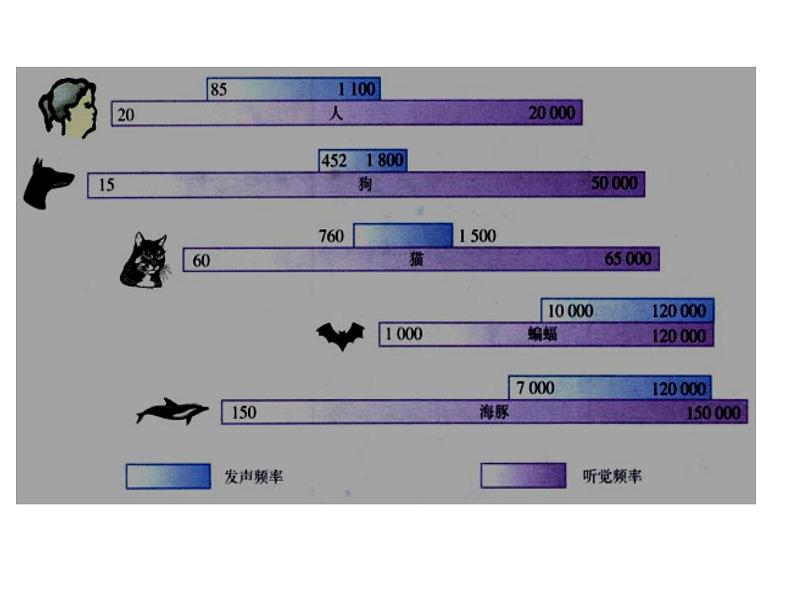 3.3超声与次声 课件(11)沪科版八年级物理全一册第6页
