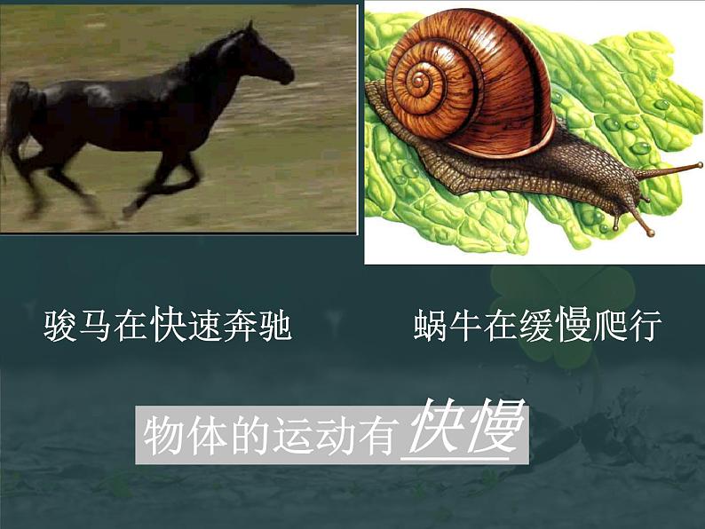 2.3快与慢 课件(27)沪科版八年级物理全一册02