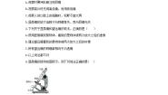 初中物理教科版八年级上册7 通过透镜看世界优秀课后练习题