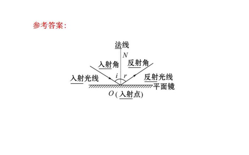 北师大版八年级上册 物理 课件 5.2光的反射07