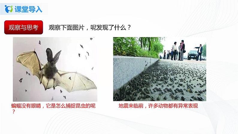 课时1.4 人耳听不到的声音-2021年八年级上册(苏科版)(课件+教案+练习)02