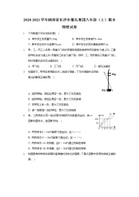 2020-2021学年湖南省长沙市雅礼集团八年级（上）期末物理试卷