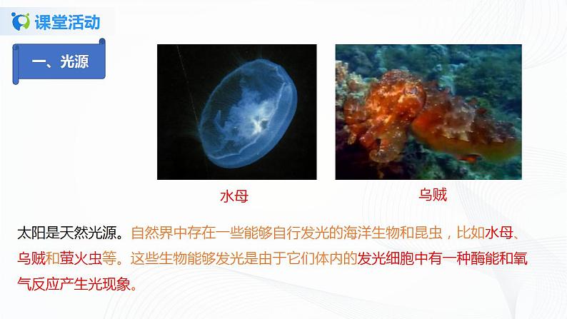 课时3.1 光的色彩 颜色-2021年八年级上册(苏科版)(课件+教案+练习)06