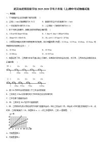 2019-2020学年八年级上学期武汉市武钢实验学校期中考试物理试题（原卷+解析卷）