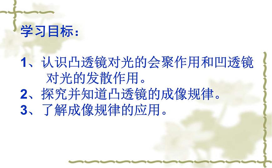 人教版-八年級物理上《透鏡及其應(yīng)用》章節(jié)復(fù)習(xí)課件PPT第8頁