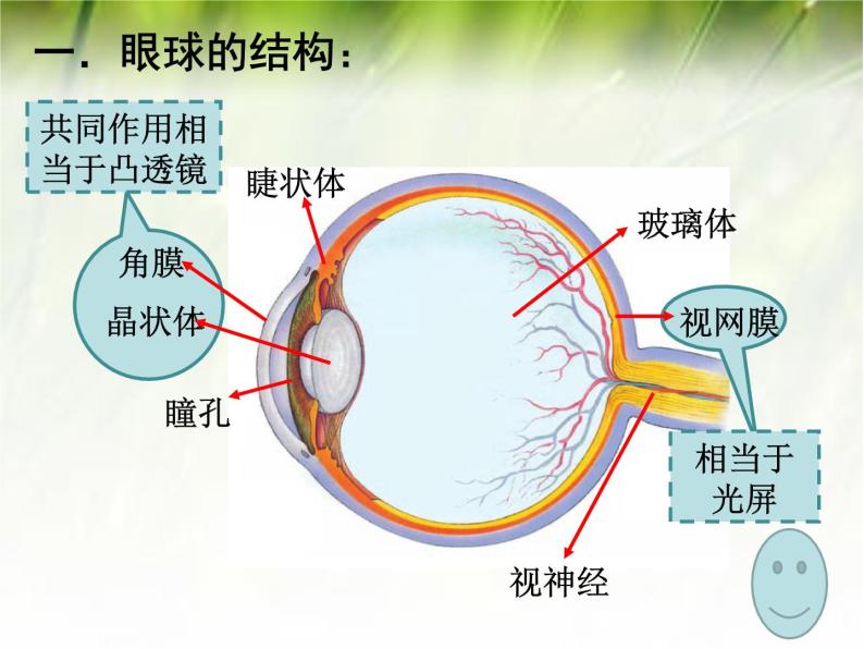 沪科版八年级全册 物理 课件 4.6神奇的眼睛305