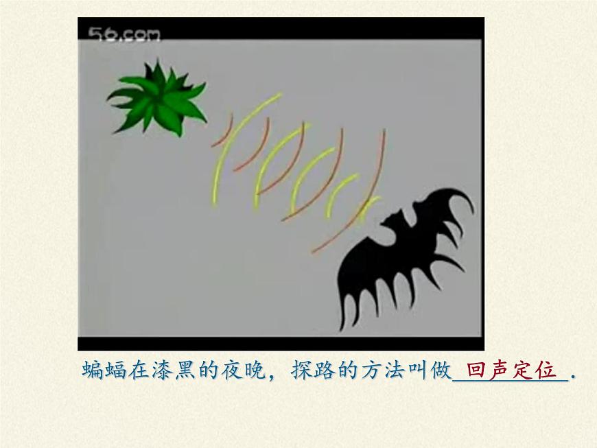 人教版八年級上冊 物理 課件 2.3聲的利用第4頁