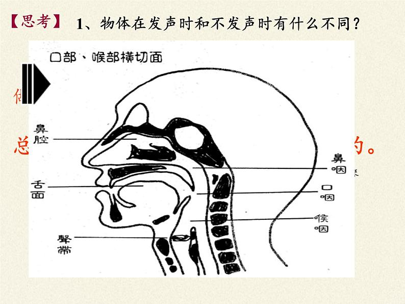 苏科版八年级上册物理 1.1 声音是什么(2) 课件第7页