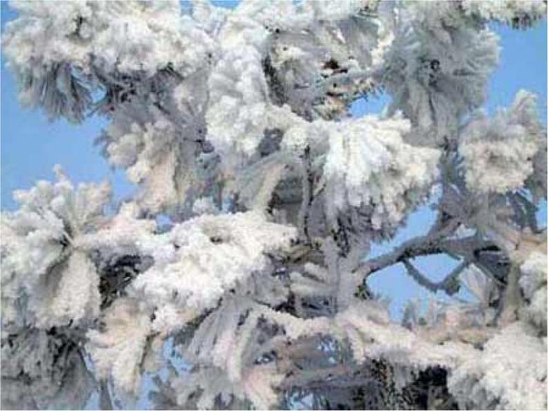 苏科版八年级上册物理 2.4 升华和凝华(1) 课件06