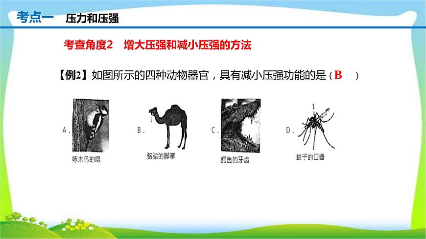 人教中考物理一輪復(fù)習(xí)壓強優(yōu)質(zhì)課件PPT第8頁