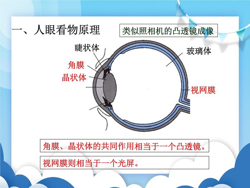 粵滬版物理八年級(jí)上冊(cè)  3.7眼睛與光學(xué)儀器【課件】第2頁(yè)
