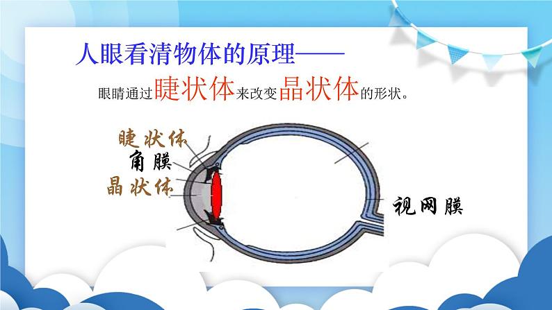 鲁教版物理八年级上册 4.4眼睛和眼镜【课件】第4页