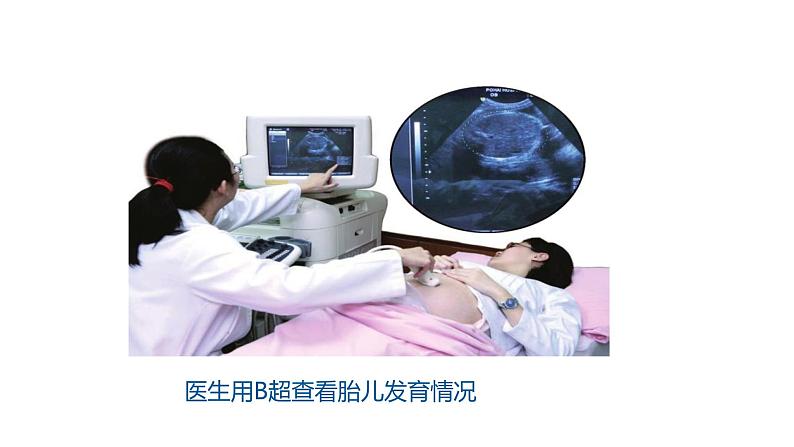 2.3 声的利用课件PPT第7页