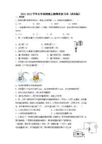 2021-2022学年苏科版物理九年级上学期期末复习试卷（word版 含答案）
