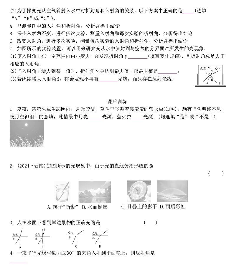 2022年人教版物理中考专题训练 光现象第2页
