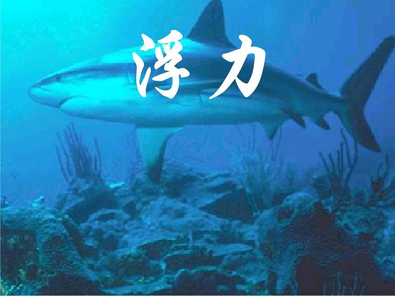 第十章 浮力 2021-2022学年人教版物理 八年级下册课件PPT第1页