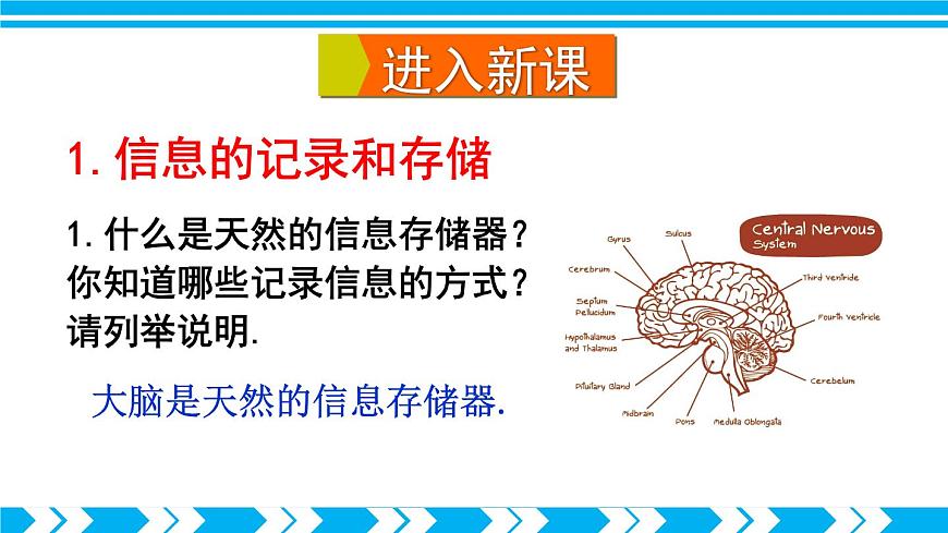 第一節(jié) 感受信息第5頁(yè)