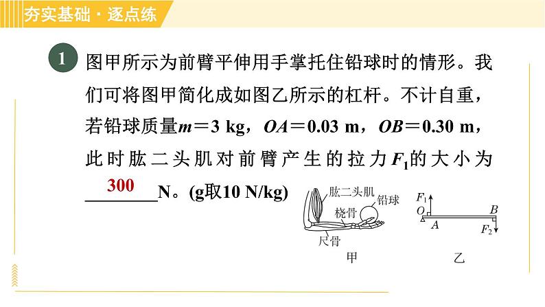 沪粤版八年级下册物理 第6章 专训2 与简单机械有关的计算 习题课件03