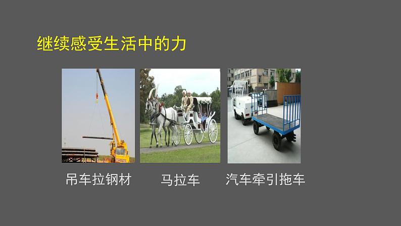 初二【物理(北京版)】力课件PPT05