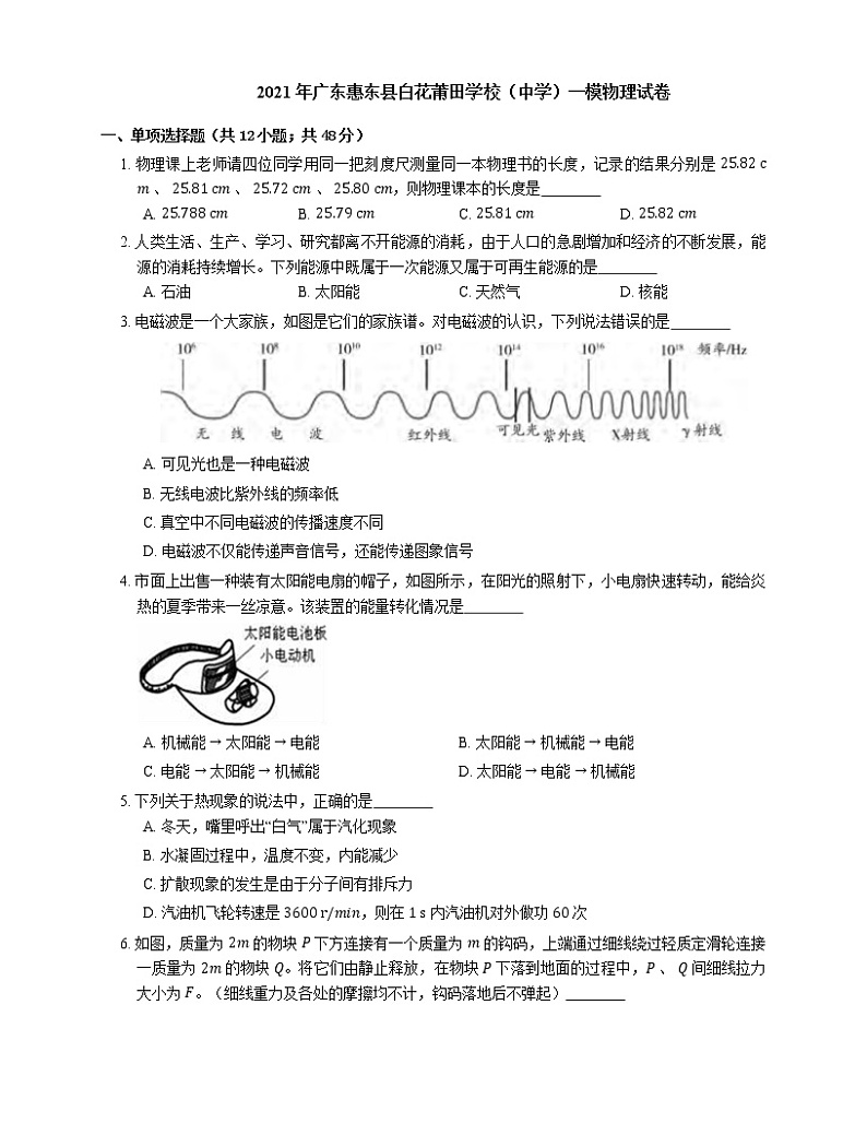 2021年广东惠东县白花莆田学校(中学)一模物理试卷第1页