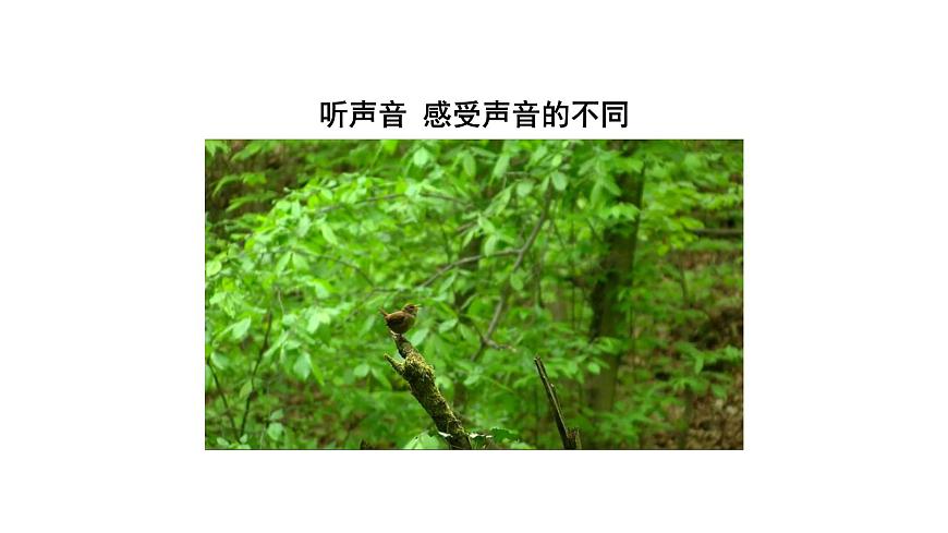 初二【物理(人教版)】聲音的特性課件PPT第3頁