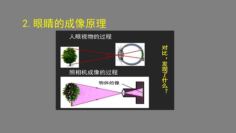 初二物理(师大版)-眼睛和眼镜-2PPT课件第6页