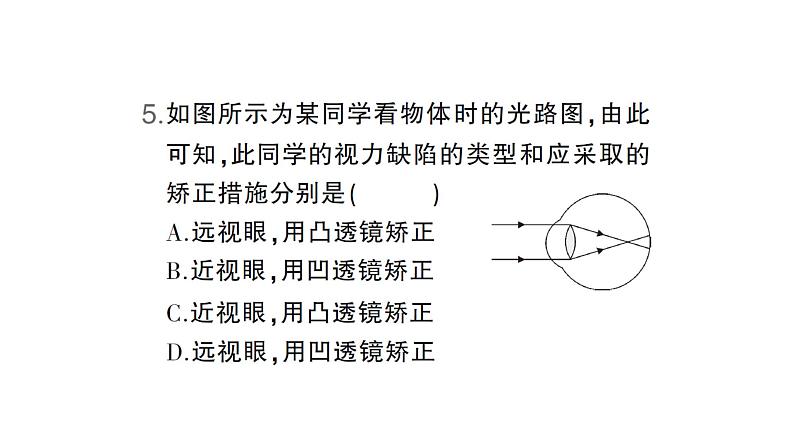期末专项三 光现象专题归类复习卷课件PPT第6页