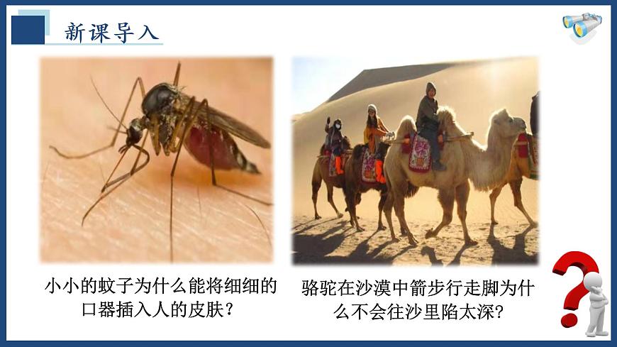 9.1壓強(qiáng)-八年級物理下冊課件（人教版）第3頁