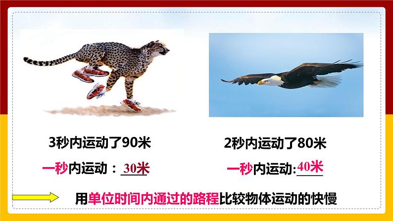2.3快与慢(课件+教案+学案+练习)07