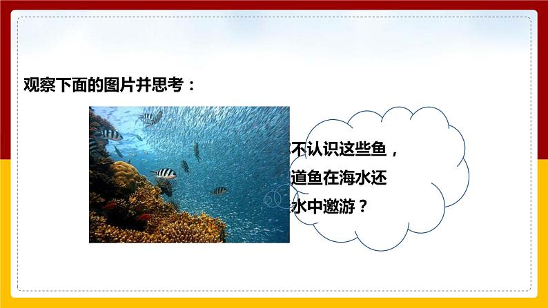 5.3 科学探究:物质的密度(课件+教案+学案+练习)02