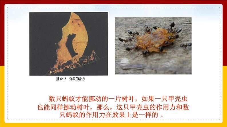 7.2 力的合成(课件+教案+学案+练习)04