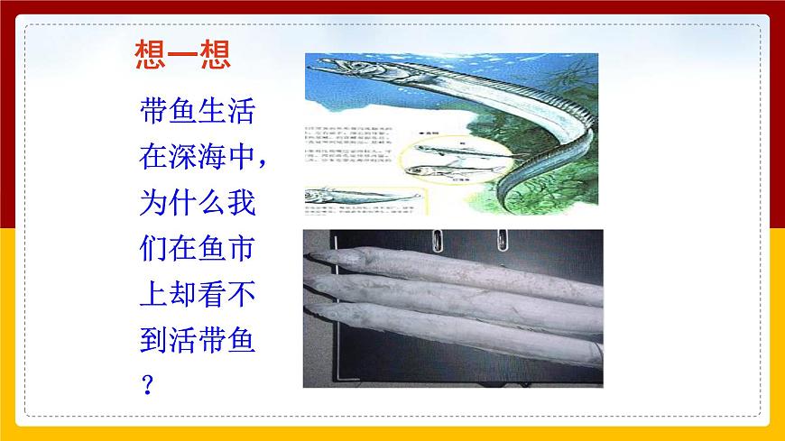 8.2科學(xué)探究:液體的壓強(qiáng)課件第3頁(yè)