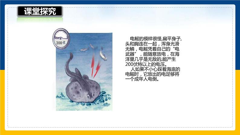 14.5测量电压(课件)第8页