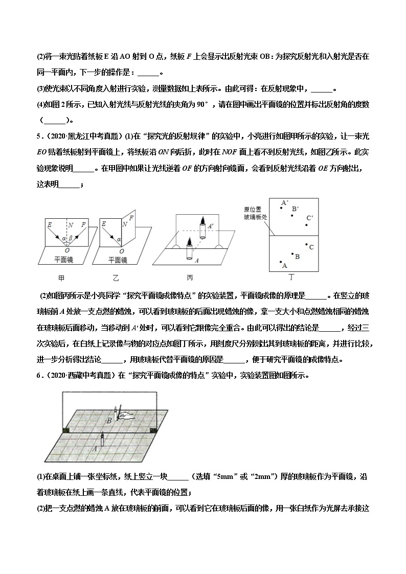 专题10 光现象-2022届中考物理实验探究真题精准练103