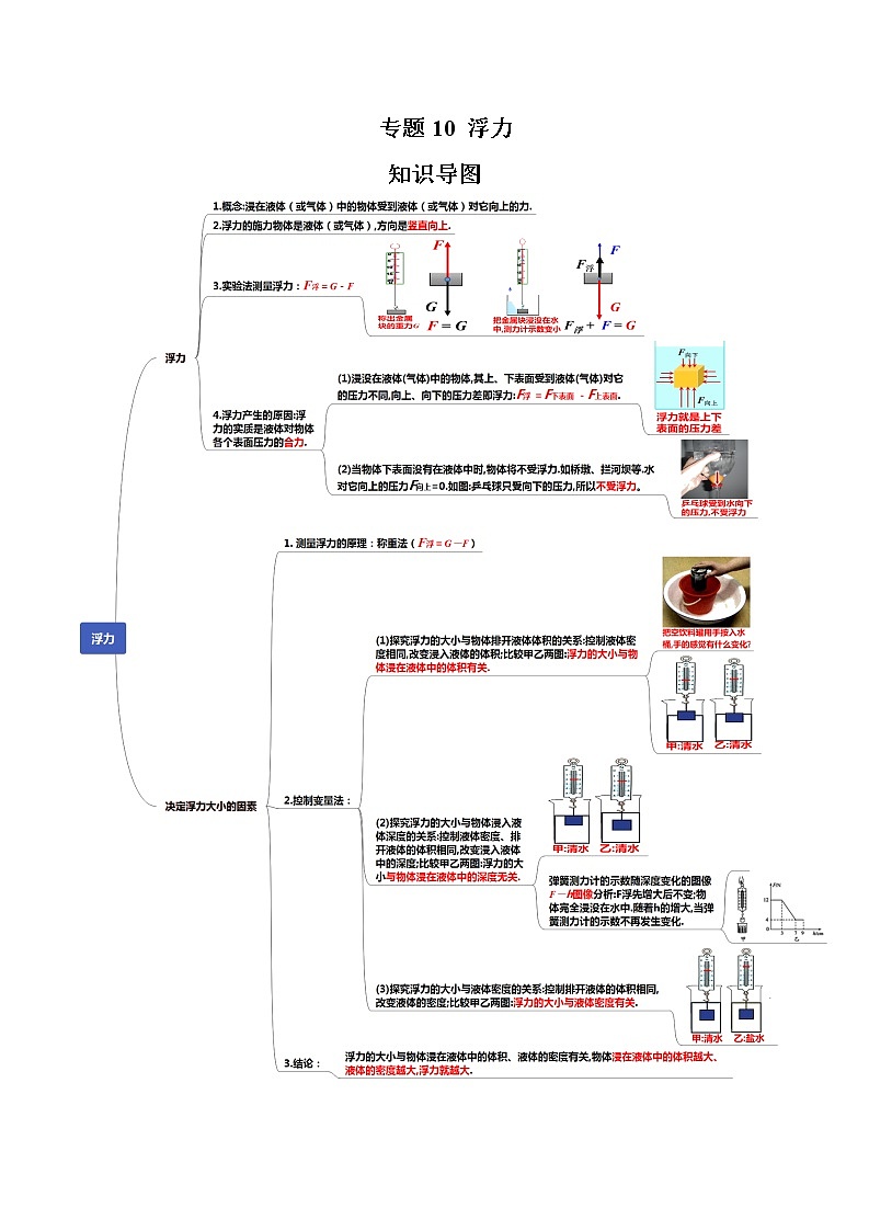 读懂中考物理专题10浮力(知识导图)第1页