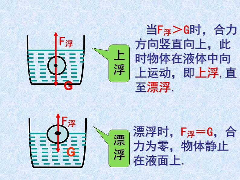 北师大版物理八年级下册第八章第六节物体的浮沉条件课件(共31张PPT)第7页