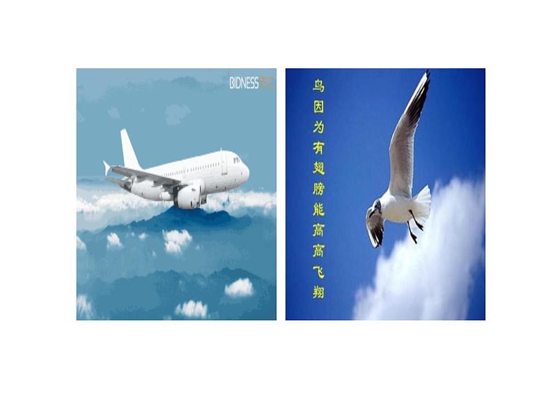 北师大版物理八年级下册8.7飞机为什么能上天课件第1页