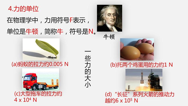 7.2 力的描述(课件)-2019-2020学年八年级物理下册同步精品系列(教科版)(共21张PPT)08