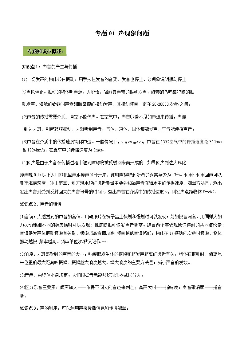 2021年中考物理微專(zhuān)題復(fù)習(xí) 專(zhuān)題01 聲現(xiàn)象中考問(wèn)題（學(xué)生版）第1頁(yè)