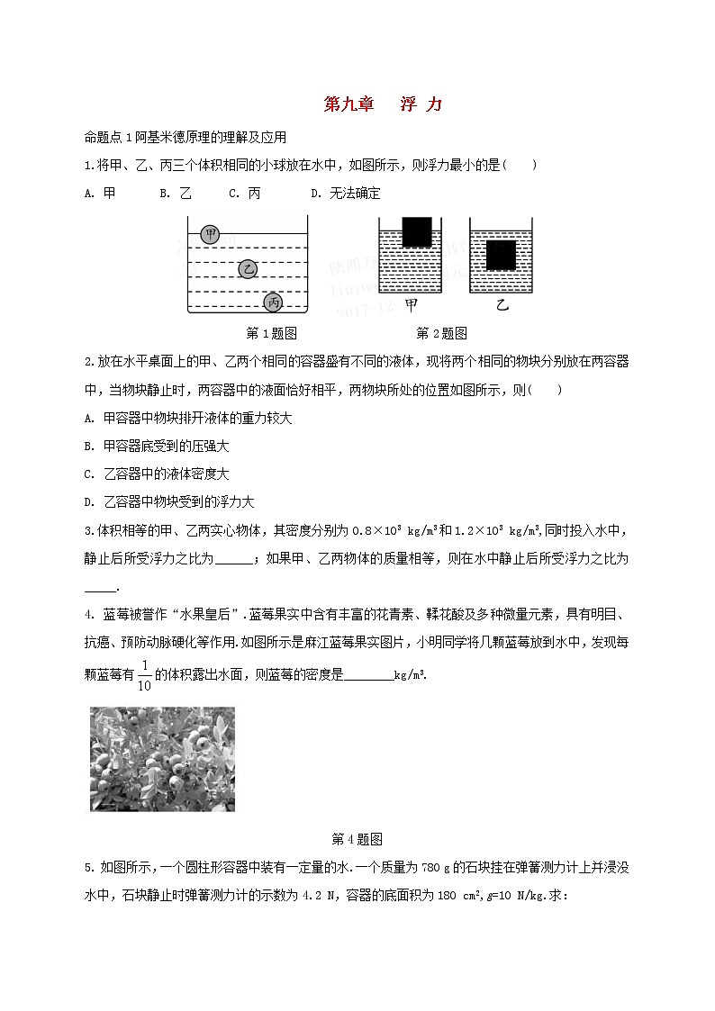 中考物理一轮复习夯实基础过教材第09章《浮力》复习真题面对面 (含答案)第1页