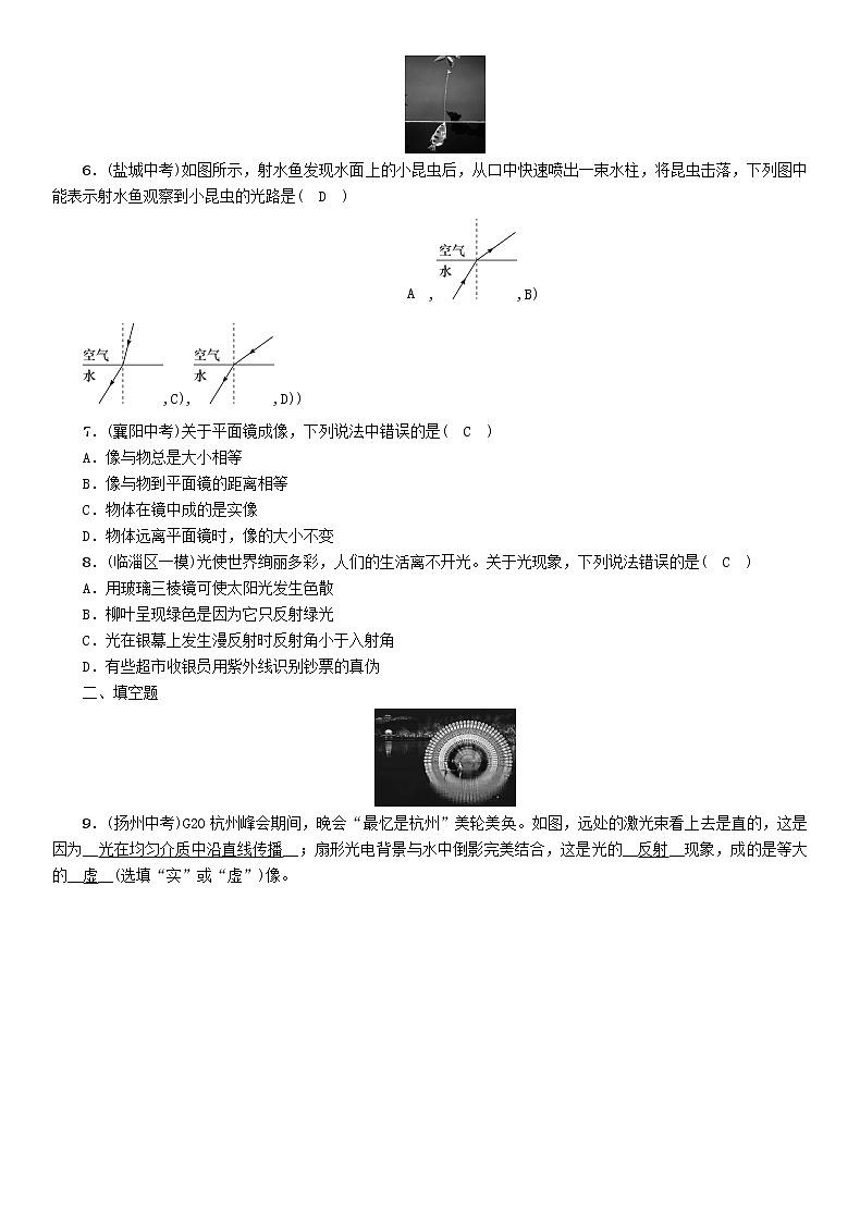 中考物理一轮复习第3讲《多彩的光》同步精练(含答案)第2页