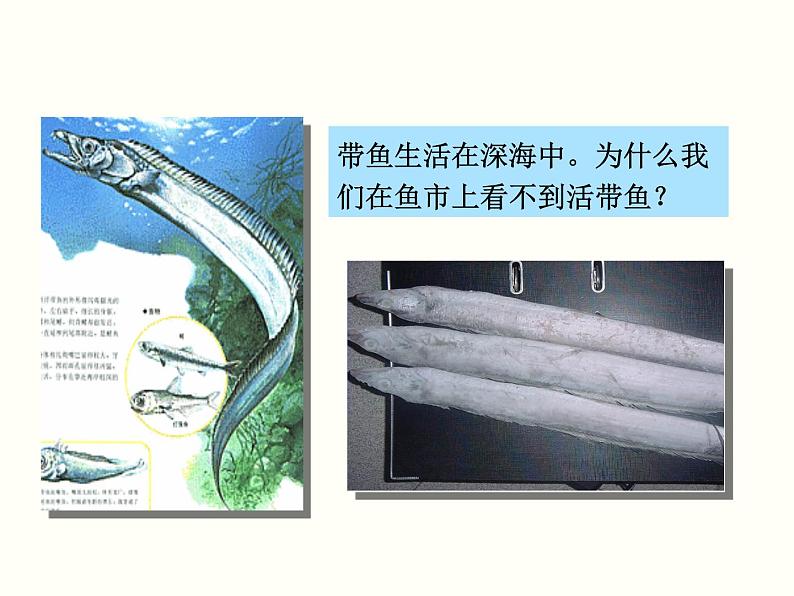人教版物理八年级下册教学同步课件:第九章第2节 液体的压强(2份打包)04
