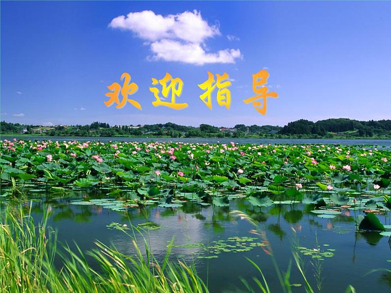 教科版物理八年级下册 10.4 沉与浮(课件)01