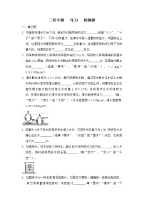 2022年中考專題專題浮力檢測題