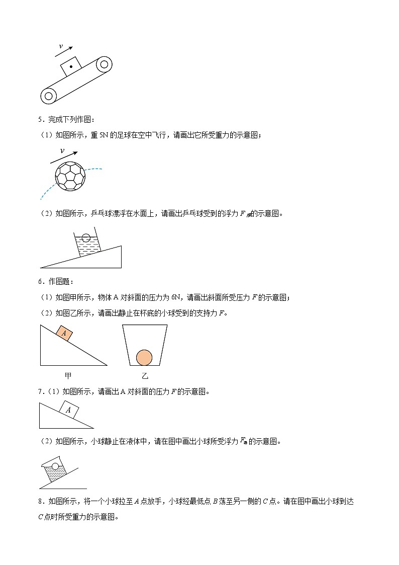 2022年中考物理二轮复习专题优化训练力学作图第2页