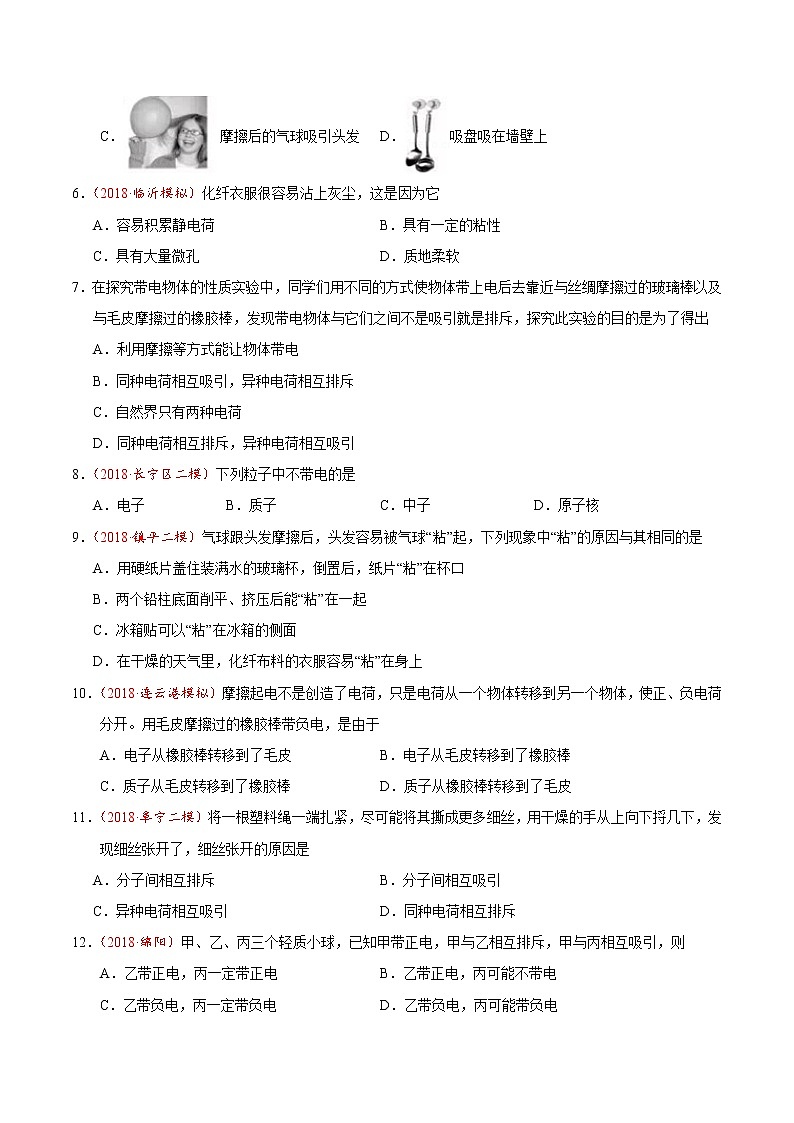 专题15.1 两种电荷-九年级物理人教版(原卷版)02