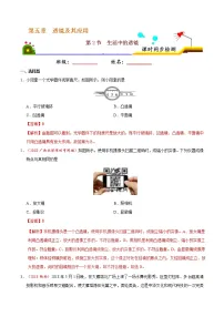 物理八年级上册第五章 透镜及其应用第2节 生活中的透镜练习题