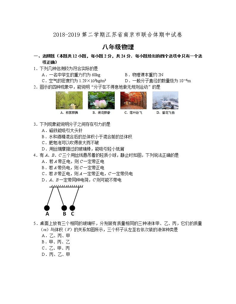 南京市联合体2018-2019学年第二学期初二物理期中试卷(含答案)第1页