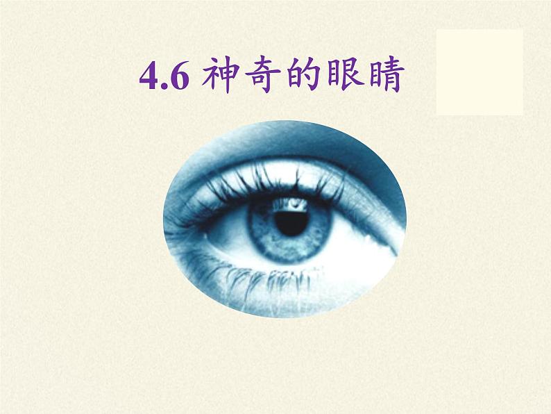 教科版八年级物理上册 4.6 神奇的眼睛 课件02